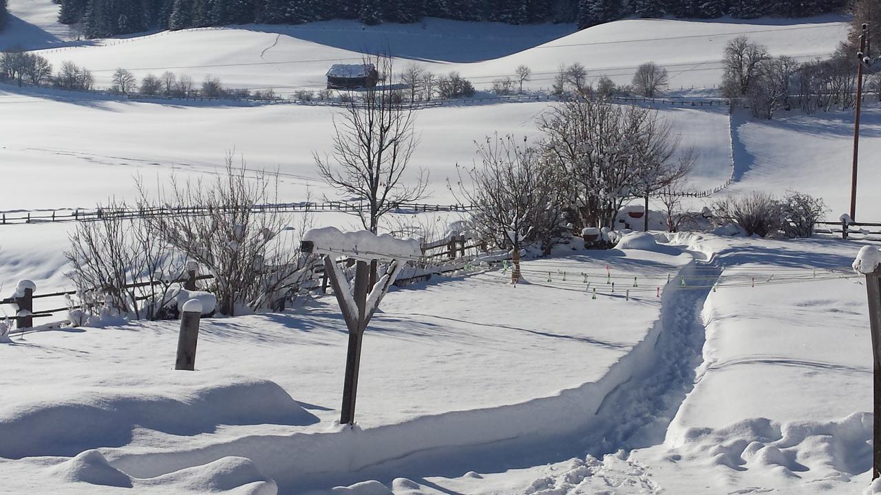 Ferienwohnungen Haus-Holzer Mauterndorf  Eksteriør bilde