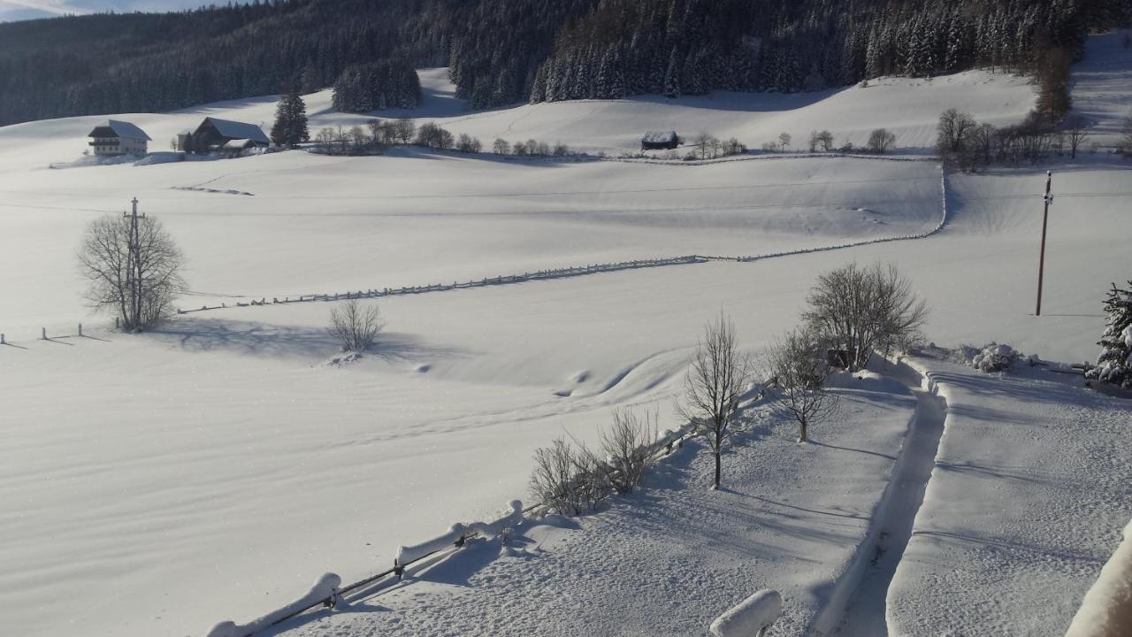 Ferienwohnungen Haus-Holzer Mauterndorf  Eksteriør bilde